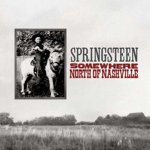 TIGER ROSE TIGER ROSE