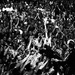 Milwaukee - 2008.jpg